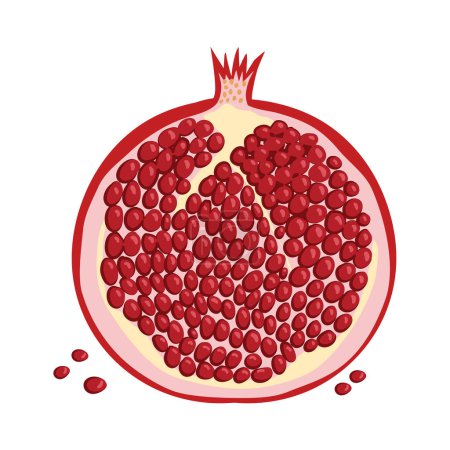 Illustration for A pomegranate cut in half and ready to be eaten - Royalty Free Image