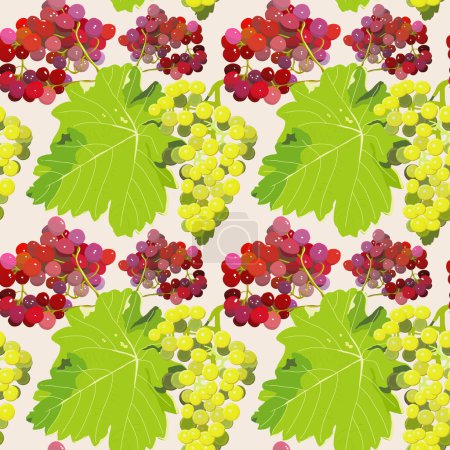 Illustration for A bunch of grapes on a branch with leaves - Royalty Free Image