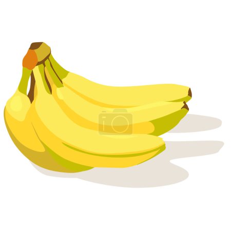 Téléchargez les illustrations : Bananes colorées, illustration vectorielle - en licence libre de droit