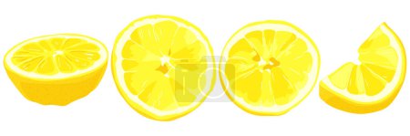 Téléchargez les illustrations : Ensemble de tranches de citron frais sur fond blanc. illustration vectorielle. - en licence libre de droit