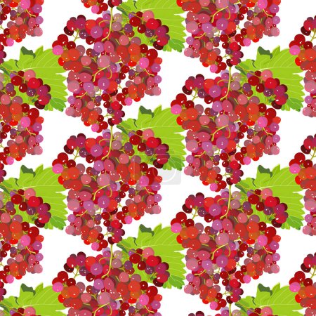 Pattern with bunches of red grapes. Vector illustration.