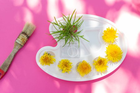 Foto de Watercolor palette with flowers, yellow dandelion flowers. Summer art concept on a bright background. Pink background with sun shadows. - Imagen libre de derechos