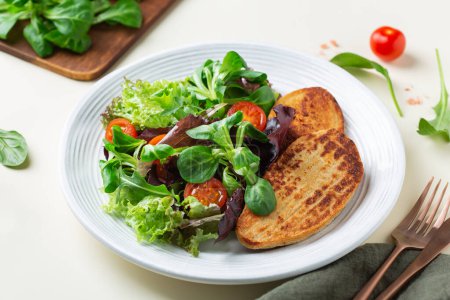 Téléchargez les photos : Viande végétale, steak de filet de poulet végétalien avec salade. Alimentation pour réduire l'empreinte carbone, consommation durable. Concept du déjeuner - en image libre de droit