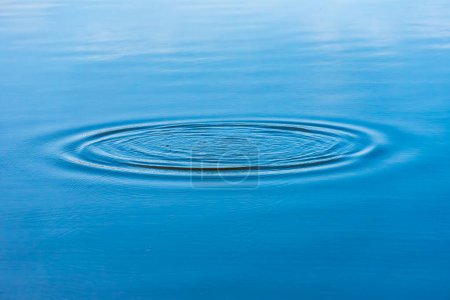 Photo for Diverging circles on the water surface of the lake. Outdoors. - Royalty Free Image