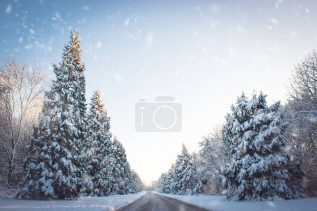 Téléchargez les photos : Paysage avec scène enneigée et chutes de neige au soleil du soir - en image libre de droit