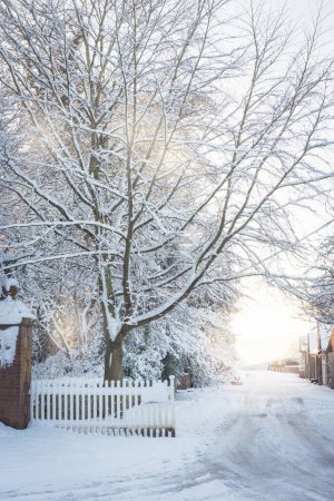Foto de Carril de campo en invierno con cerca blanca y parche forrado de árboles - Imagen libre de derechos