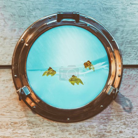 Foto de Tres peces de colores en el ojo de buey - Imagen libre de derechos