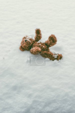 Téléchargez les photos : Ours en peluche couché dans la neige - en image libre de droit