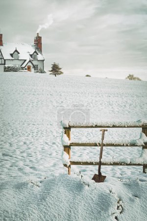 Foto de Cerca cubierta de nieve en invierno con casa de campo y árbol de Navidad con luces centelleantes - Imagen libre de derechos