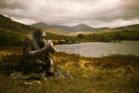 Foto de Orangután con teléfono inteligente sentado cerca de un lago - Imagen libre de derechos