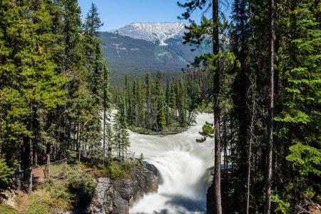 Sunwapta Falls. Canadian Rockies beautiful nature scenery. Jasper National Park beautiful landscape. Alberta, Canada. Forest and waterfalls.