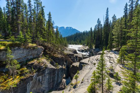 Photo for Mistaya Canyon and Mistaya River. Banff National Park beautiful landscape. Alberta, Canada. Canadian Rockies Mountains nature scenery. - Royalty Free Image