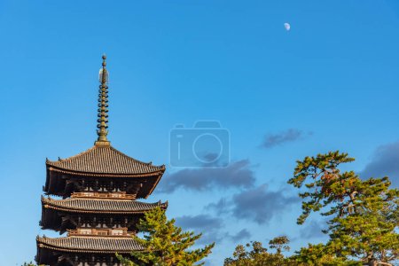 Téléchargez les photos : Pagode à cinq étages à l'intérieur du temple bouddhiste Kofuku-ji. l'un des sept grands temples de la ville de Nara, préfecture de Nara, Japon - en image libre de droit