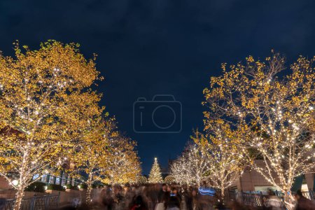 Photo for Yebisu Garden Place Winter Illumination festival, famous romantic light up events, beautiful view, popular tourist attractions, travel destinations for holiday in Tokyo city, Japan - Royalty Free Image