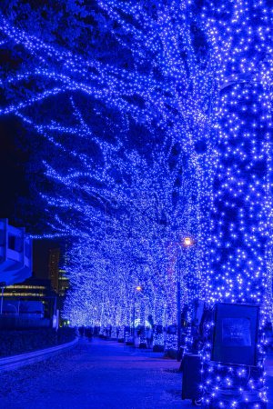Photo for Shibuya Blue Cave winter illumination festival, beautiful view, popular tourist attractions, travel destinations for holiday, famous romantic light up events in Tokyo, Japan. Translation : "Blue Cave" - Royalty Free Image