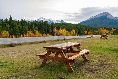 Photo for Wooden bench at Saskatchewan River Crossing parking area. The junction of Icefields Parkway (Highway 93) and David Thompson Highway (Highway 11). Banff National Park, Alberta, Canada. - Royalty Free Image