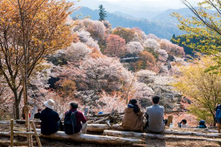 Photo for Nara, Japan - April 4, 2023 : People enjoying the cherry blossoms in full bloom at Mount Yoshino, Yoshino-Kumano National Park. - Royalty Free Image