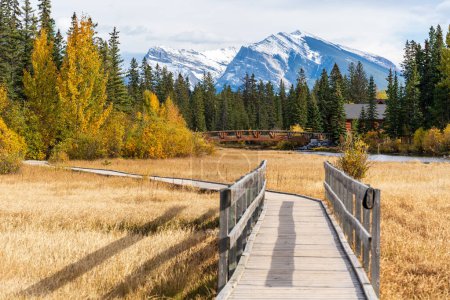 Photo for Spring Creek, Policeman Creek Boardwalk Trail in fall season. Town of Canmore, Alberta, Canada. - Royalty Free Image