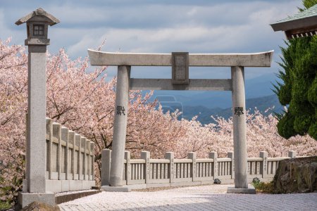 Foto de Mitoyo, Kagawa, Japón - 9 de abril de 2023: Santuario Ise Asahiyama Hongu en el Parque Asahiyama Shinrin (Mt. Asahi Forest Park ). Flores de cerezo en plena floración en la isla de Shikoku. - Imagen libre de derechos