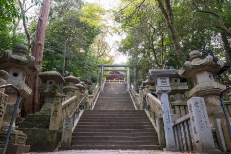 Konpira Shrine ( aka Konpira-san or Kotohira-Gu ) stone steps. Cherry blossoms in full bloom in the spring. Kotohira, Kagawa, Japan.