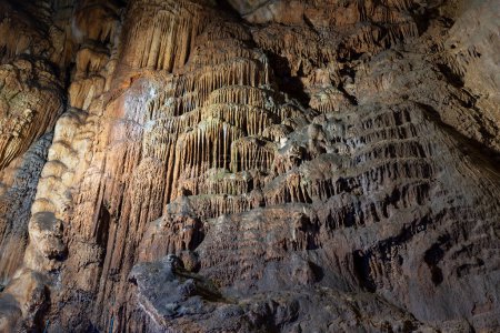 Grotte d'Akiyoshido. Une grotte solutionnelle à l'intérieur du parc national Akiyoshidai Quasi, Yamaguchi, Japon.