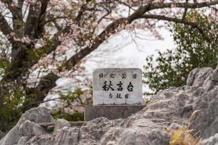 Téléchargez les photos : Plateau karstique d'Akiyoshidai. Akiyoshidai Quasi-National Park. Préfecture de Yamaguchi, Japon. - en image libre de droit