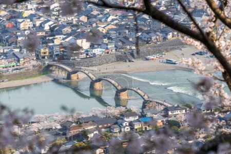 View of the Kintai Bridge and Kikko Park from above. Cherry blossoms along the Nishiki River bank. Iwakuni, Yamaguchi Prefecture, Japan.