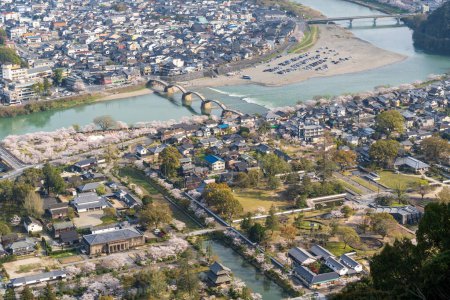 Vue du pont Kintai et du parc Kikko d'en haut. Des cerisiers fleurissent le long de la rive de la rivière Nishiki. Iwakuni, préfecture de Yamaguchi, Japon.