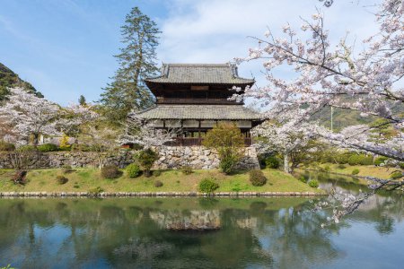 Kinunkaku Pavilion alongside the moat in Kikko Park. Cherry blossoms full blooming in springtime. Iwakuni, Yamaguchi Prefecture, Japan.