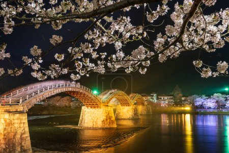 Pont Kintai illuminé la nuit. Des cerisiers fleurissent le long de la rive de la rivière Nishiki. Le festival Sakura. Iwakuni, préfecture de Yamaguchi, Japon.