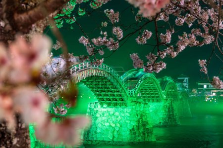 Pont Kintai illuminé la nuit. Des cerisiers fleurissent le long de la rive de la rivière Nishiki. Le festival Sakura. Iwakuni, préfecture de Yamaguchi, Japon.