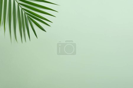 Foto de Palmera tropical sobre fondo verde vivo - Imagen libre de derechos