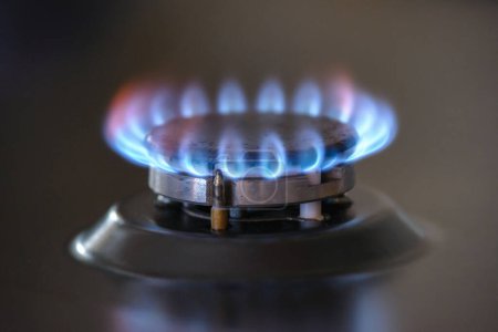 Foto de Cocina estufa con llamas azules quemando fondo editar ahora - Imagen libre de derechos