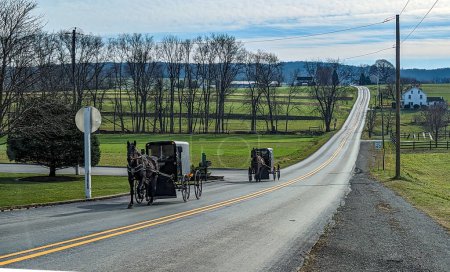 A View of Two Amish Horse and Buggies Traveling Down a Countryside Road Thru Farmlands and a One Room School House on a Sunny December Day