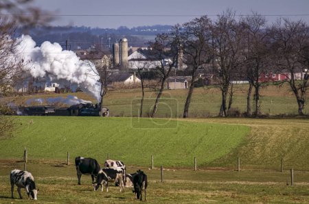 Foto de A View of An Antique Passenger Train Approaching With a Herd of Cows Looking on, on an Autumn Day - Imagen libre de derechos