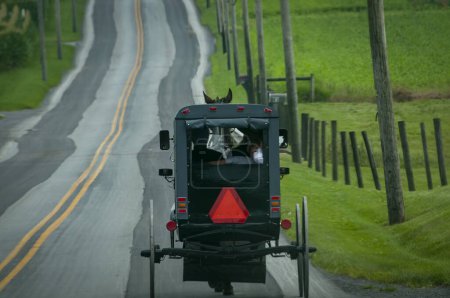 Die Rückansicht eines Amisch-Pferdes und eines Buggys, die an einem Sommertag auf einer ländlichen Straße in der Landschaft unterwegs sind