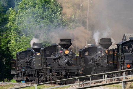 Téléchargez les photos : Vue d'un défilé de locomotives à vapeur Shay antique vintage soufflant beaucoup de vapeur et de fumée à leur approche lente, un jour d'été ensoleillé - en image libre de droit