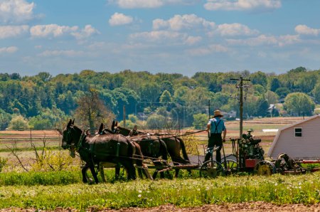 Téléchargez les photos : Vue d'un agriculteur amish travaillant sur son équipement agricole, tiré par trois chevaux par une journée ensoleillée - en image libre de droit