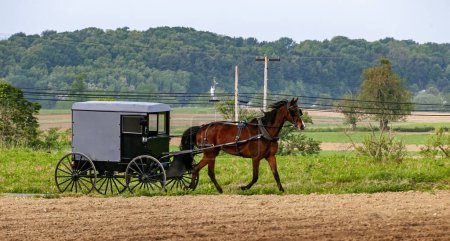 Eine Seitenansicht eines amischen Pferdes und Buggys, die an einem sonnigen Tag auf einer Landstraße vorbeifahren