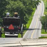 A Rear View of an Amish Couple in an Open Horse and Buggy, Heading Down a Rural Road on a Sunny Summer Day