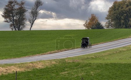 Photo for View of an Amish Horse and Buggy Approaching Down a Rural Countryside Road on a Sunny Autumn Day - Royalty Free Image