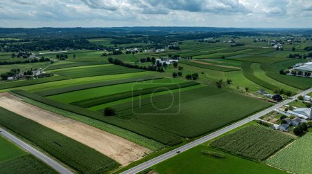Perspective aérienne globale de terres agricoles riches et vertes, segmentées par des routes et des clôtures, met en valeur la beauté organisée des terres agricoles rurales.