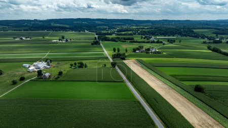 Vista aérea de un tapiz de campos agrícolas, creando un patrón vibrante similar a una colcha que personifica el corazón de la América agrícola.