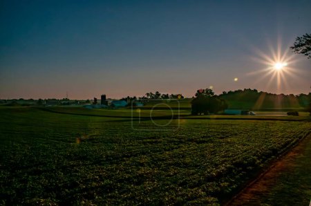 A serene sunrise casts a warm glow over a peaceful farmland, the suns rays dramatically back lighting silhouetted farm structures and bathing the fields in golden hue, ideal for themes of agriculture