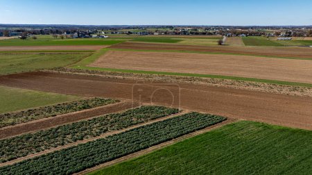 This high-angle shot captures a vast tapestry of farmland, with sections of rich soil ready for planting and others lush with crops. Ideal for agriculture and land management themes.