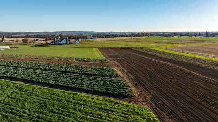 The image displays a birds-eye view of diverse farm plots in the fall, creating a mosaic of harvest-ready fields and green spaces, perfect for agricultural themes.