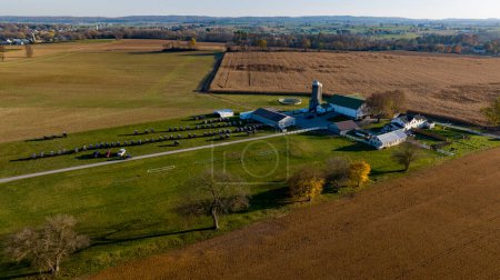 Una toma aérea captura la extensa extensión de una granja al atardecer, con campos a la espera de la cosecha y el paisaje rural bañado por la suave luz del sol poniente.