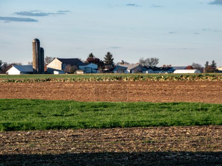 Al atardecer, una granja rústica con silos y graneros está grabada en el horizonte, mostrando la belleza de la vida agrícola.