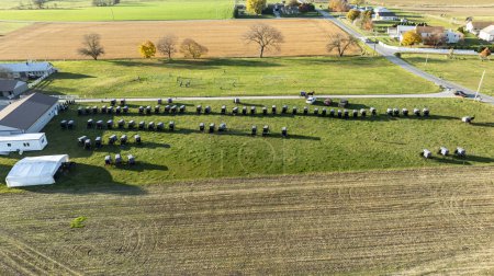 Eine lebhafte Luftaufnahme zeigt Amisch-Buggys, die bei einer Gemeinschaftsveranstaltung sauber arrangiert sind und von den leuchtenden Farben der Herbsterntefelder umgeben sind.