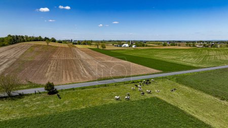 Esta fotografía aérea muestra un paisaje rural diverso con campos de patchwork en varios tonos de marrón y verde, una manada de ganado pastando, y un cielo despejado con nubes escasas.